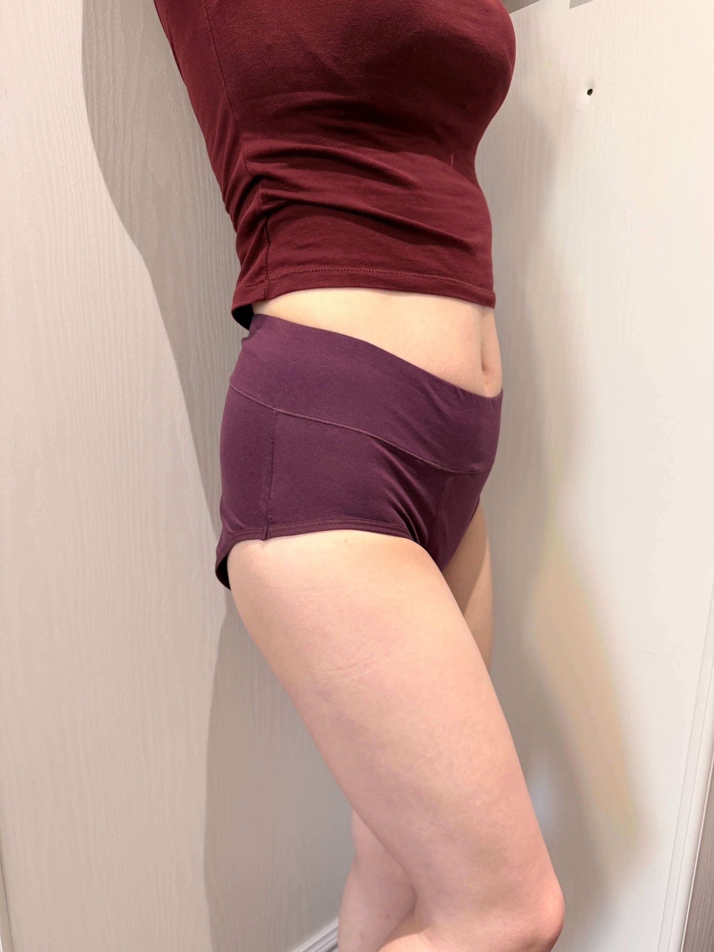 Women High Waist Leakproof Brief 3-Pack
