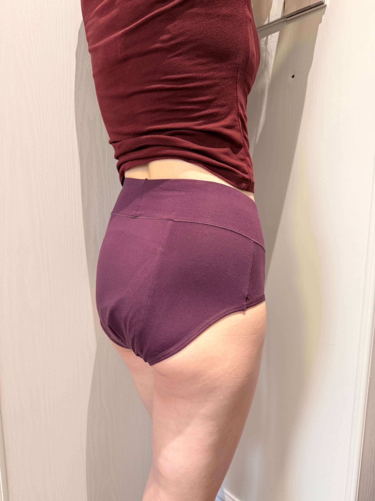 Women High Waist Leakproof Brief 3-Pack