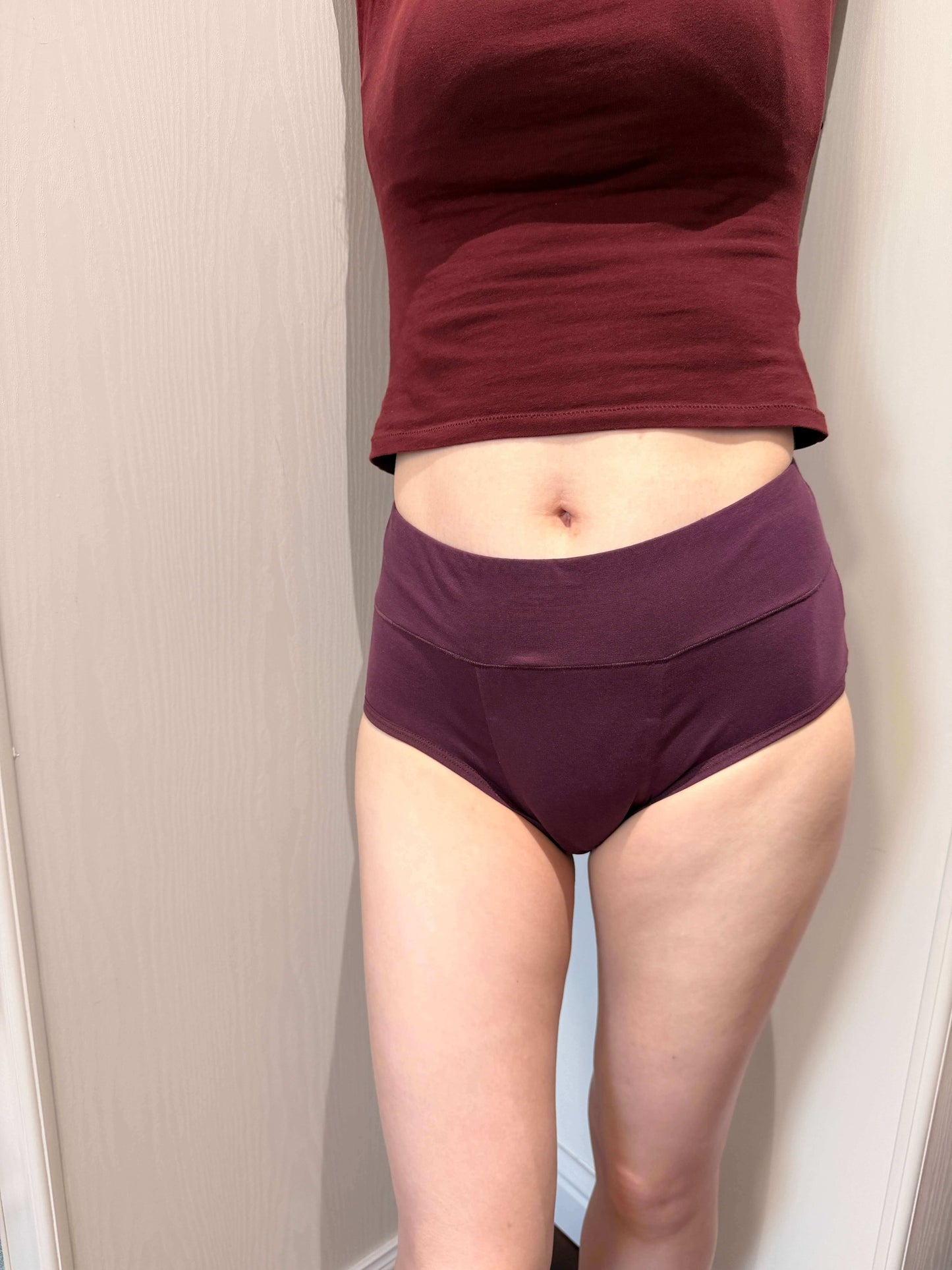 Women High Waist Leakproof Brief 3-Pack