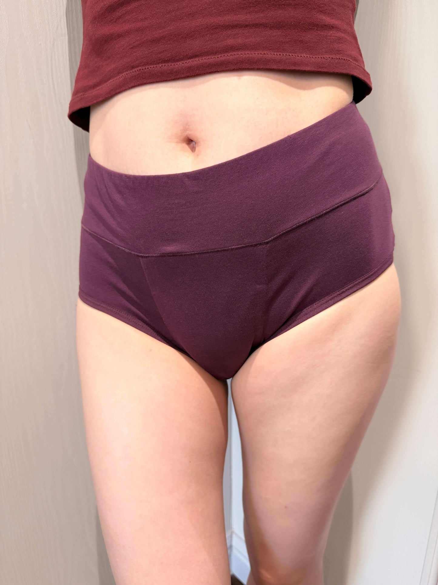 Women High Waist Leakproof Brief 3-Pack