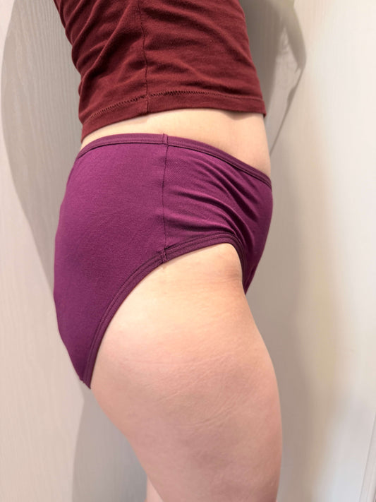 Women Mid Rise Leakproof Brief 3-Pack
